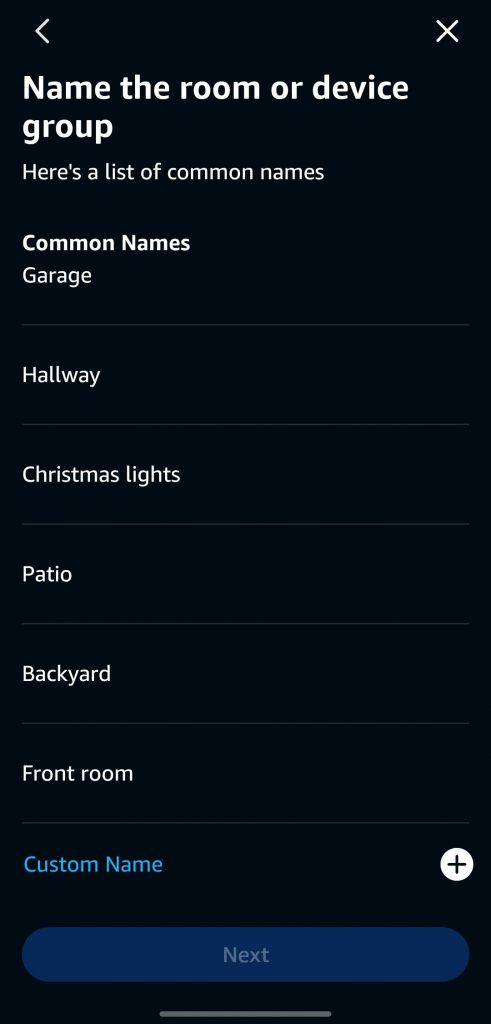 Step 2.3: Add your light to Alexa screenshot amazon alexa 09